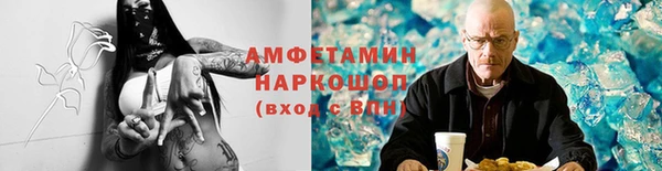 молекула духа Алексин