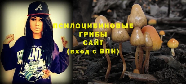 ешки Алексеевка