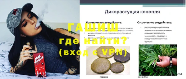 герыч Алзамай