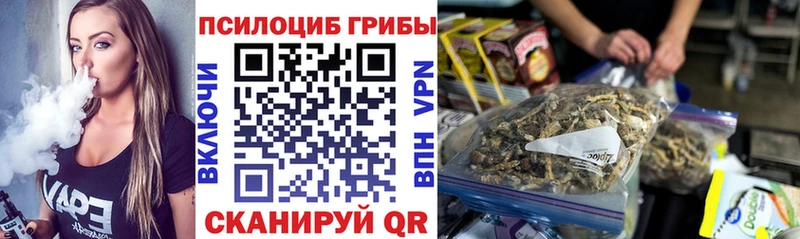 Галлюциногенные грибы Psilocybe Нижний Тагил