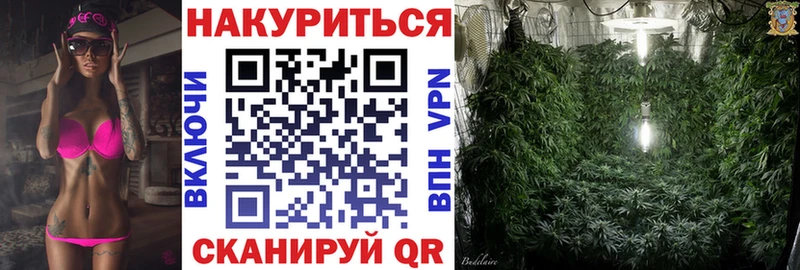 Конопля план ссылка на мегу маркетплейс Нижний Тагил